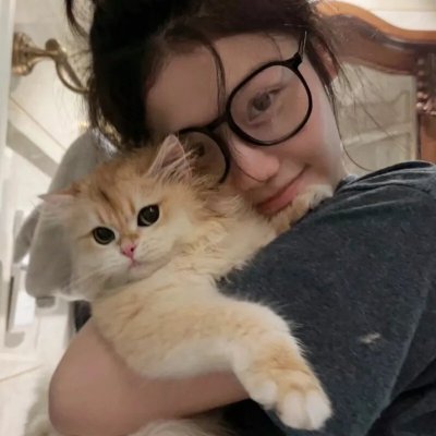 Celeb Five 会议中